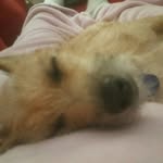Agatha Helms Hanson Knafla - @aggie.2 - Instagram
