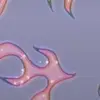 user6467590481763 - @agatha_hoffmannsantos - TikTok
