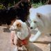 Agatha Jones - Facebook