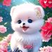 Agatha King - Facebook
