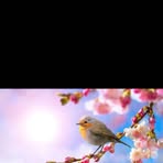 Agathe Klein - Facebook