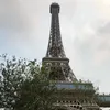 Agatha Lam - @31787735337 - TikTok