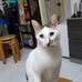 Agatha Li - Facebook