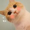 agathalew - @agathalew - TikTok
