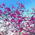 @agatha_light_ - Instagram