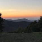 Agatha Lynch - Facebook