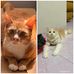 Agatha Mak - Facebook