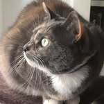 Agatha Marshbottom - @agathamarshbottom - Instagram