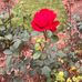 Agatha Mitchell - Facebook