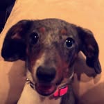 Aggie Davis - @mini_ags - Instagram