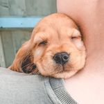 Maggie 🐻 - @goldengirl_maggie_ - Instagram