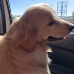 Maggie Golden - @goldm.aggie - Instagram