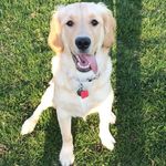 Maggie - @goldengirl_maggie - Instagram