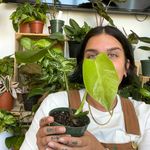 Maggie - @maggiegoldenpothos - Instagram