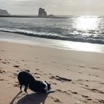 Aggie - @aggi.ehill - Instagram
