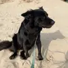 Aggie Jackson - @nusiaczek2020 - TikTok
