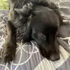 Ela - @aggiejackson2 - TikTok