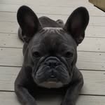Aggie_Mae - @aggie_mae2 - Instagram
