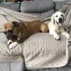 Aggie mae - @troublemakingdogduo - TikTok