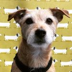 Claire Richardson - @aggie.richardson.7 - Instagram
