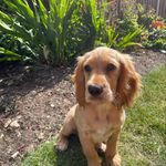 Aggie Taylor - @agsart1 - Instagram