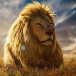 @agha__mohammadamin - Instagram