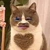 ทุกอย่างขึ้นอยู่กับอารมณ์ - @agikah.1 - TikTok
