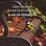 Agi Kovacs - @agikovacs70 - Instagram
