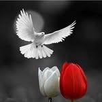 Agim Sula - @agim.sula.397 - Instagram