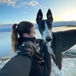 Agnes Abrahamsson - @agnes_abrahamssons - Instagram