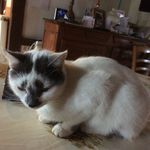 Agnes Adam - @adam.agnes - Instagram