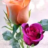 Agnes aggie - @agnes.aggie50 - TikTok