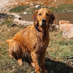 Agnes (Aggie) - @hangin.with.agnes - Instagram