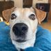 Agnes Ahlgren - Facebook