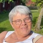 Agneta Ahlgren - @neta_ahlgren - Instagram