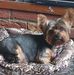 Agnes Alexander - Facebook