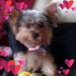 Agnes Alexander - @agnes.alexander.5 - Instagram