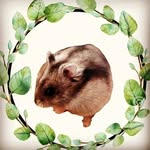 @agnes.animal - Instagram