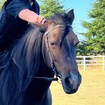 Agnes and ashley🤪 - @thatfunnymare - Instagram