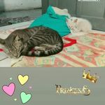 Agnes&Bailey - @agnes16ebailey7 - Instagram