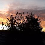 Agnès Beck - @carpate55 - Instagram