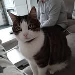 Agnes Beck - @famillebeck2 - Instagram