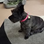 Agnes Brook - @agnes_brook - Instagram