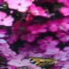 Agnes Brooks - @agnes.brooks0 - TikTok