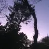 agnes_burke - @agnes_burke - TikTok