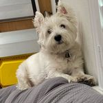 Veronica Agnes Burke - @rhonnieagnes - Instagram