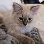 Agnes - @agnes_buschek - Instagram