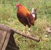 Agnes Camba - Facebook