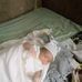 Agnes Carter - Facebook