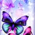 Agnes Cartwright - Facebook